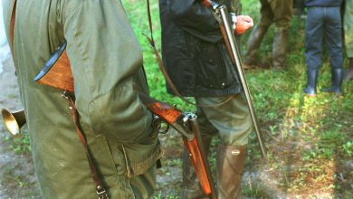 Un chasseur retrouvé mort lors d’une chasse, le parquet n’écarte aucune piste